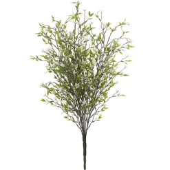 Tige de trientale boréale blanche, 20″