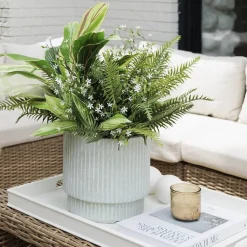 Tige de trientale boréale blanche, 20″