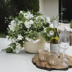 Tige de trientale boréale blanche, 20″