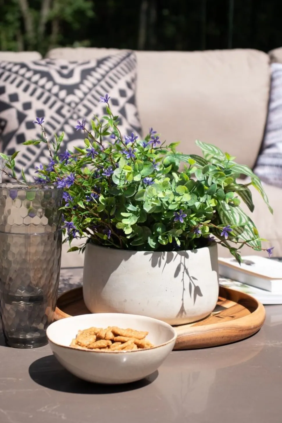 Tige de trientale boréale mauve, 20″