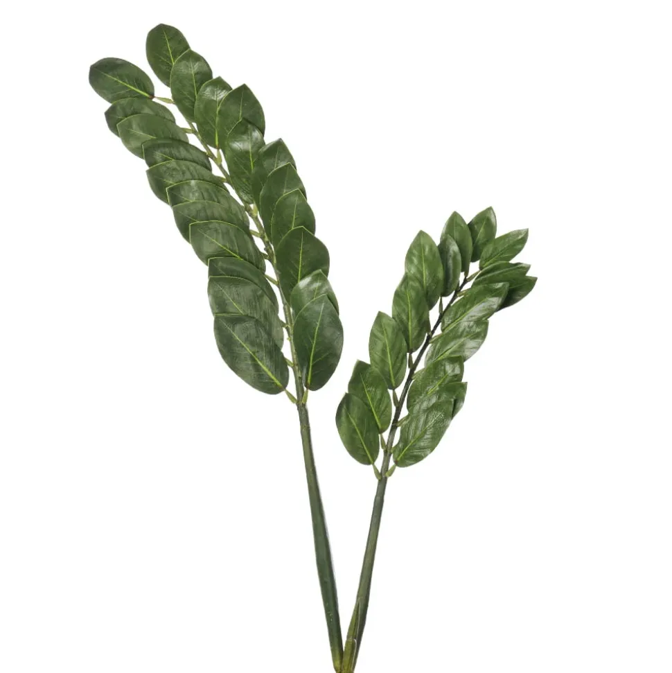 Tige de zamioculcas artificiel, 37″