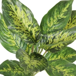 Tige d’aglaonéma vert deux tons artificiel, 10″