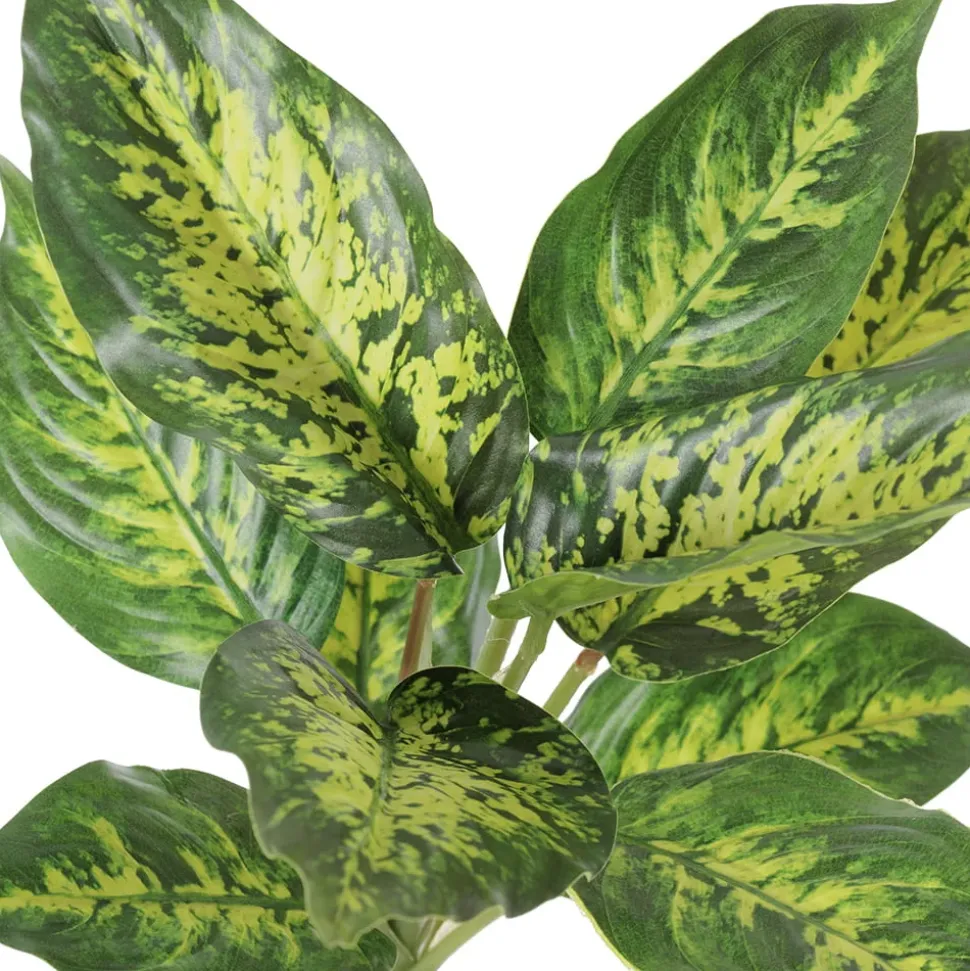 Tige d’aglaonéma vert deux tons artificiel, 10″