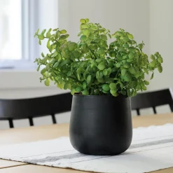 Tige d’arbre de jade artificiel, 12″