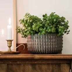 Tige d’arbre de jade artificiel, 12″