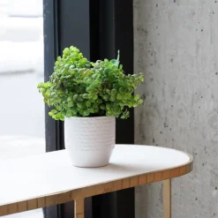 Tige d’arbre de jade artificiel, 12″