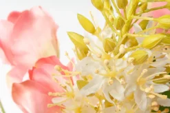 Tige d’eremurus creme 35″