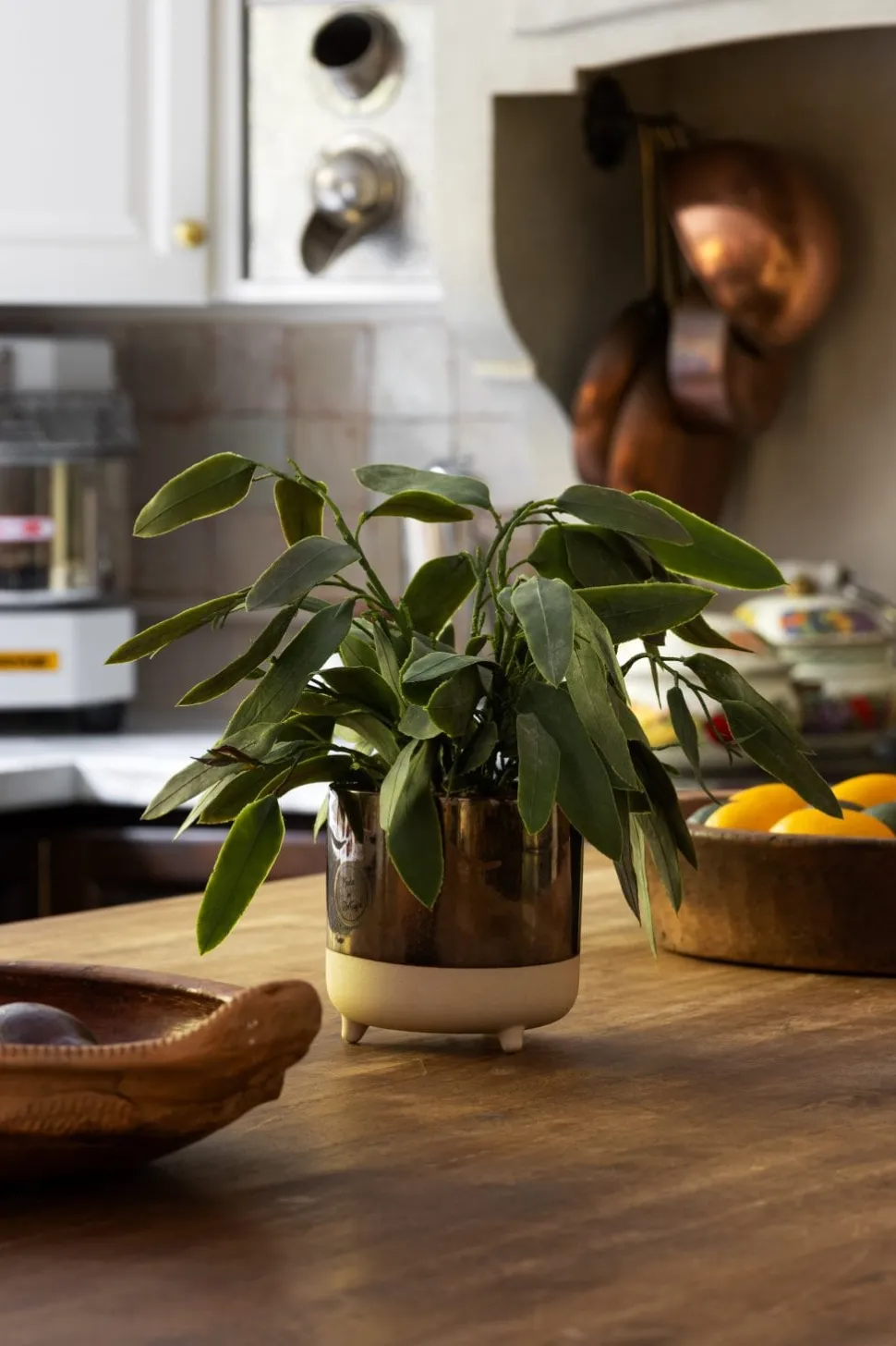 Tige d’eucalyptus allongé artificiel au toucher réel, 34″