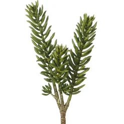 Tige d’orpin artificiel, 20″