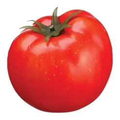 Tomato, 3,15″