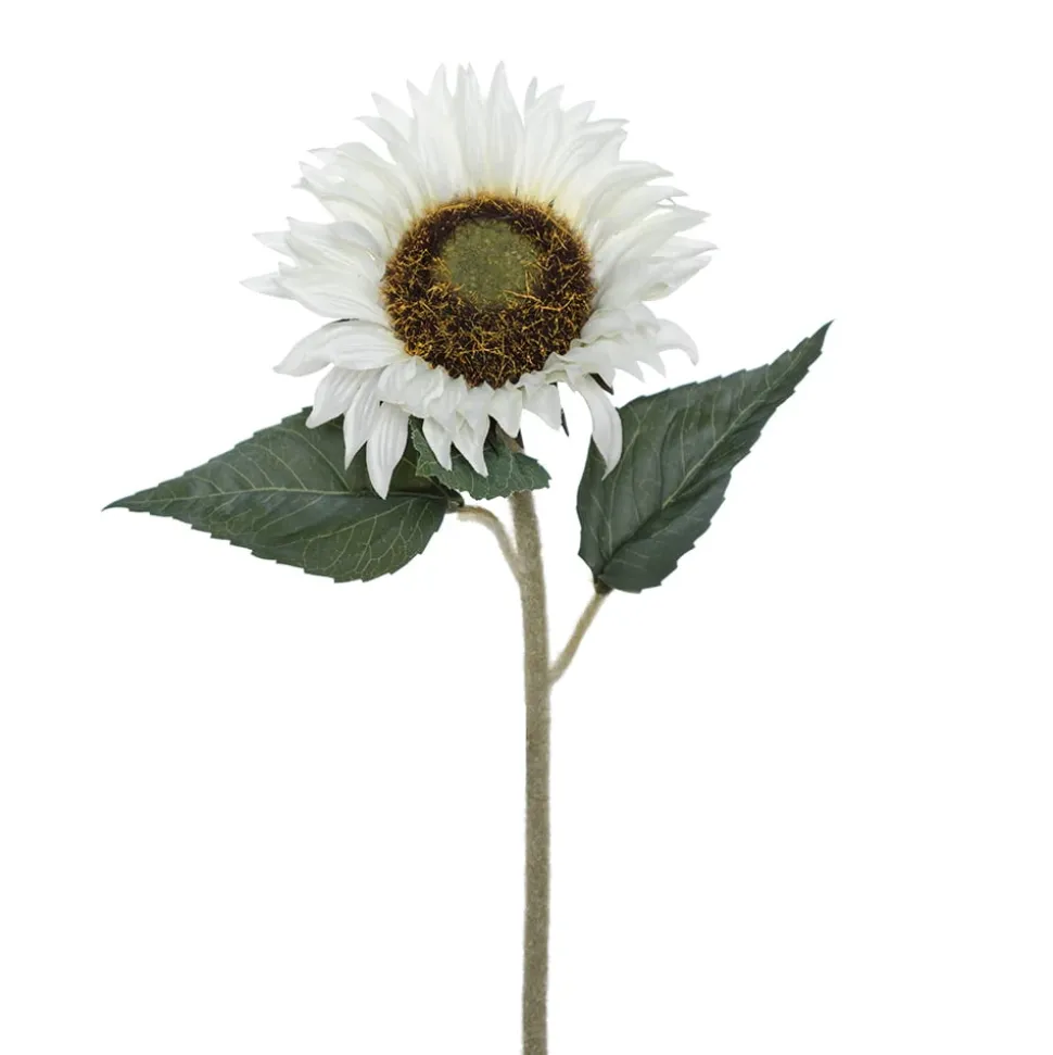 Tournesol blanc artificiel, 19″