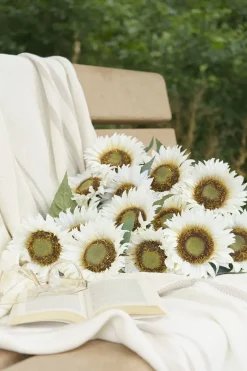 Tournesol blanc artificiel, 19″