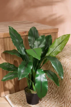 Turmeric artificial outdoor plant, 25,5