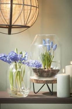 Vase décoratif en verre transparent