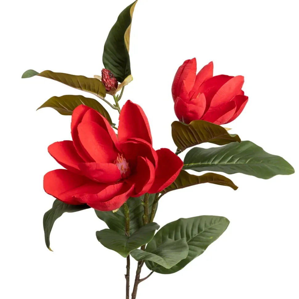 Velvet red magnolias on stem, 42"