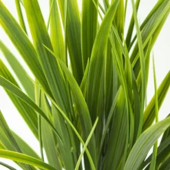 Verdure artificielle extérieure, 18″