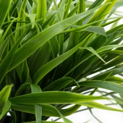 Verdure artificielle extérieure en pot de culture, 19 x 22″