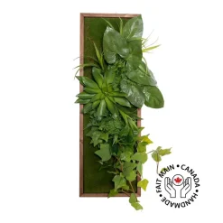 Vertical green wall, vine and tropical leaves, 36 X 12″