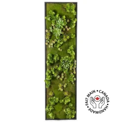 Vertical Green Wall with Succulents 60 x 18″