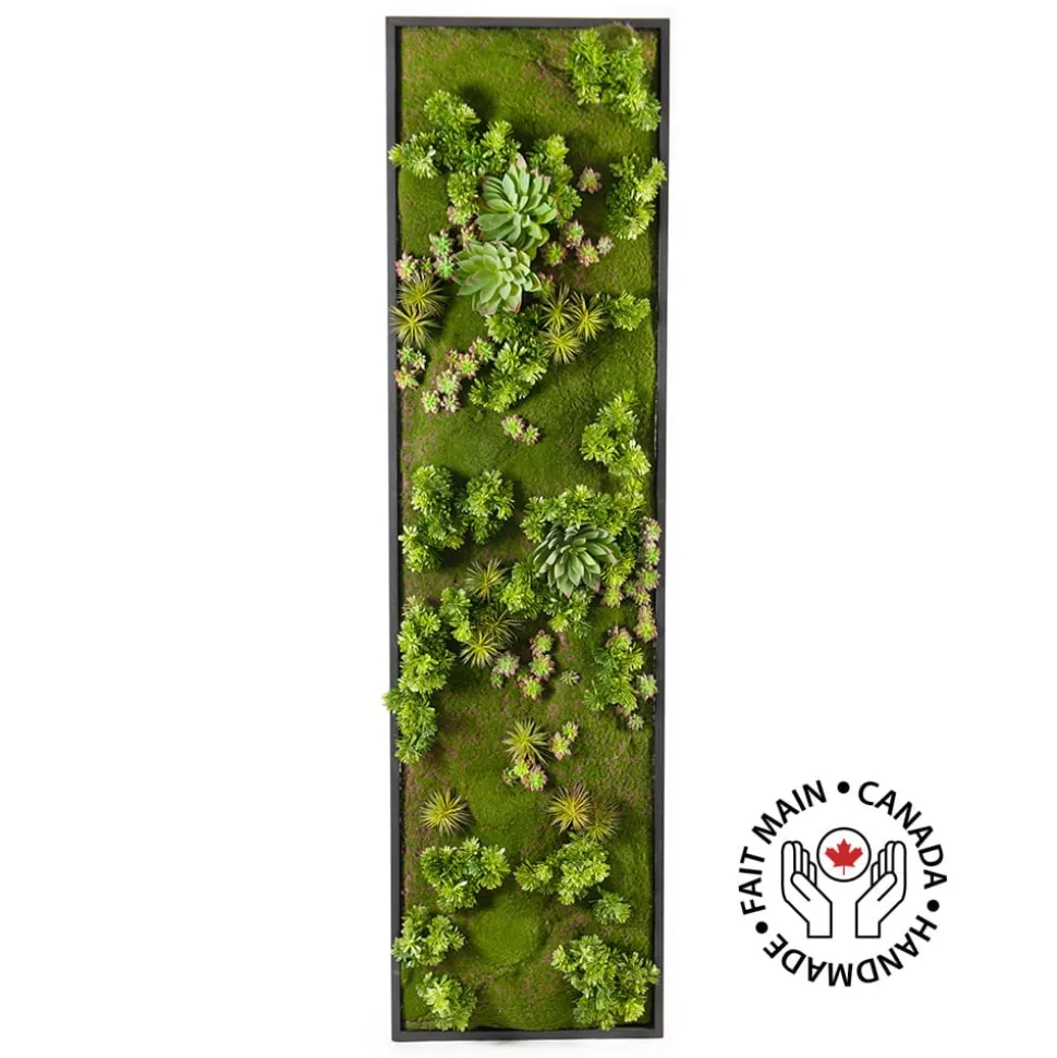 Vertical Green Wall with Succulents 60 x 18″