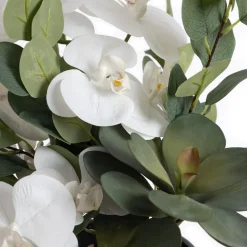 White flower arrangement with succulents