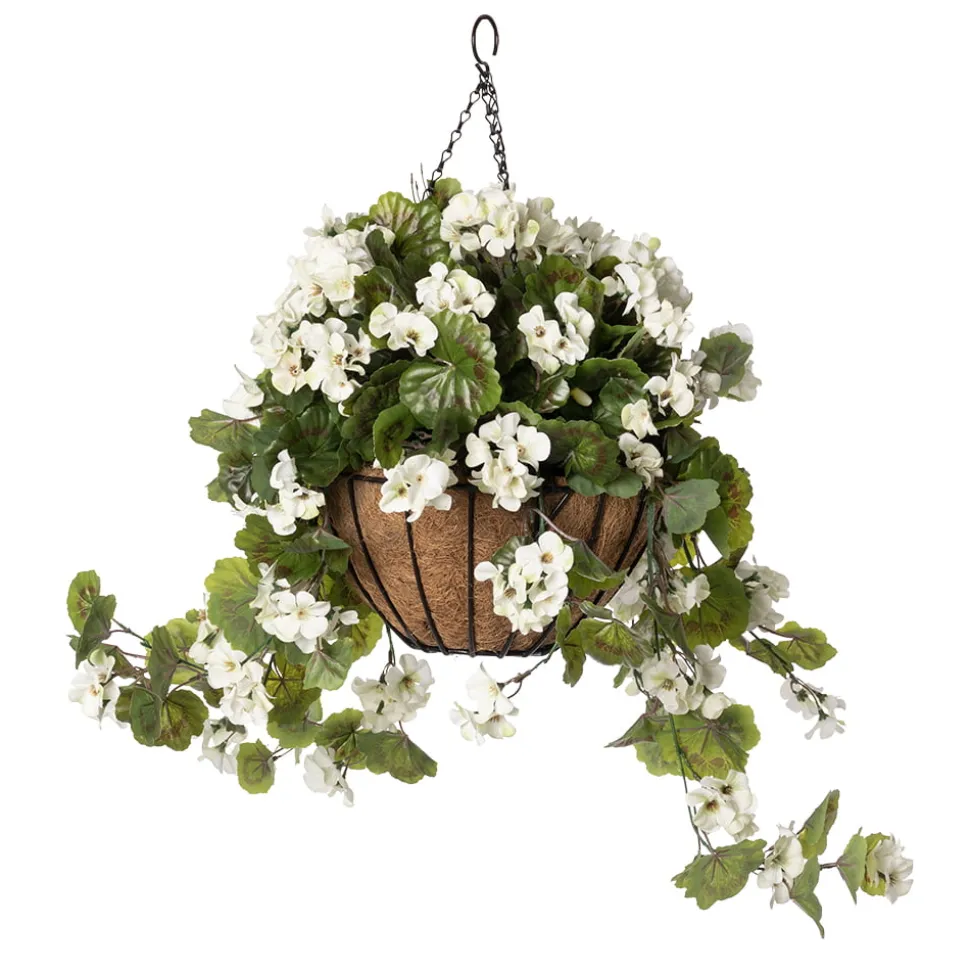 White geranium outdoor hanging flower basket, 24 x 22″