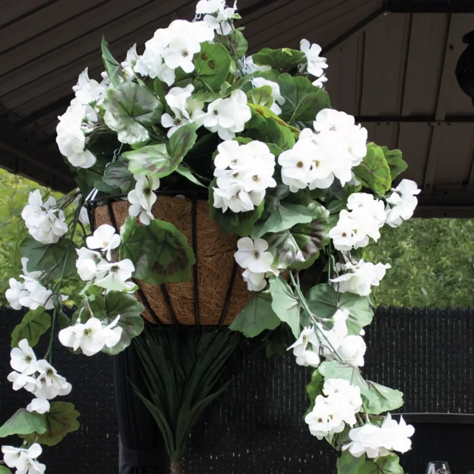 White geranium outdoor hanging flower basket, 24 x 22″