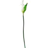 White Heliconia Stem With Greenery