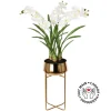 White orchid plant in gold standing planter