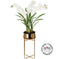 White orchid plant in gold standing planter