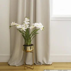 White orchid plant in gold standing planter