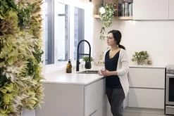 Yellow and green eucalyptus green wall, 30 x 48″