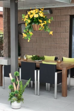 Yellow hibiscus outdoor hanging flower basket, 24 x 22″