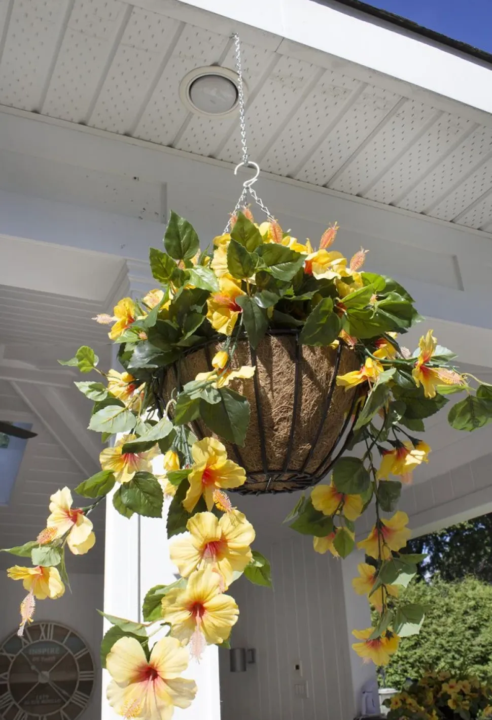 Yellow hibiscus outdoor hanging flower basket, 24 x 22″