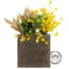 Yellow mimosa wall arrangement