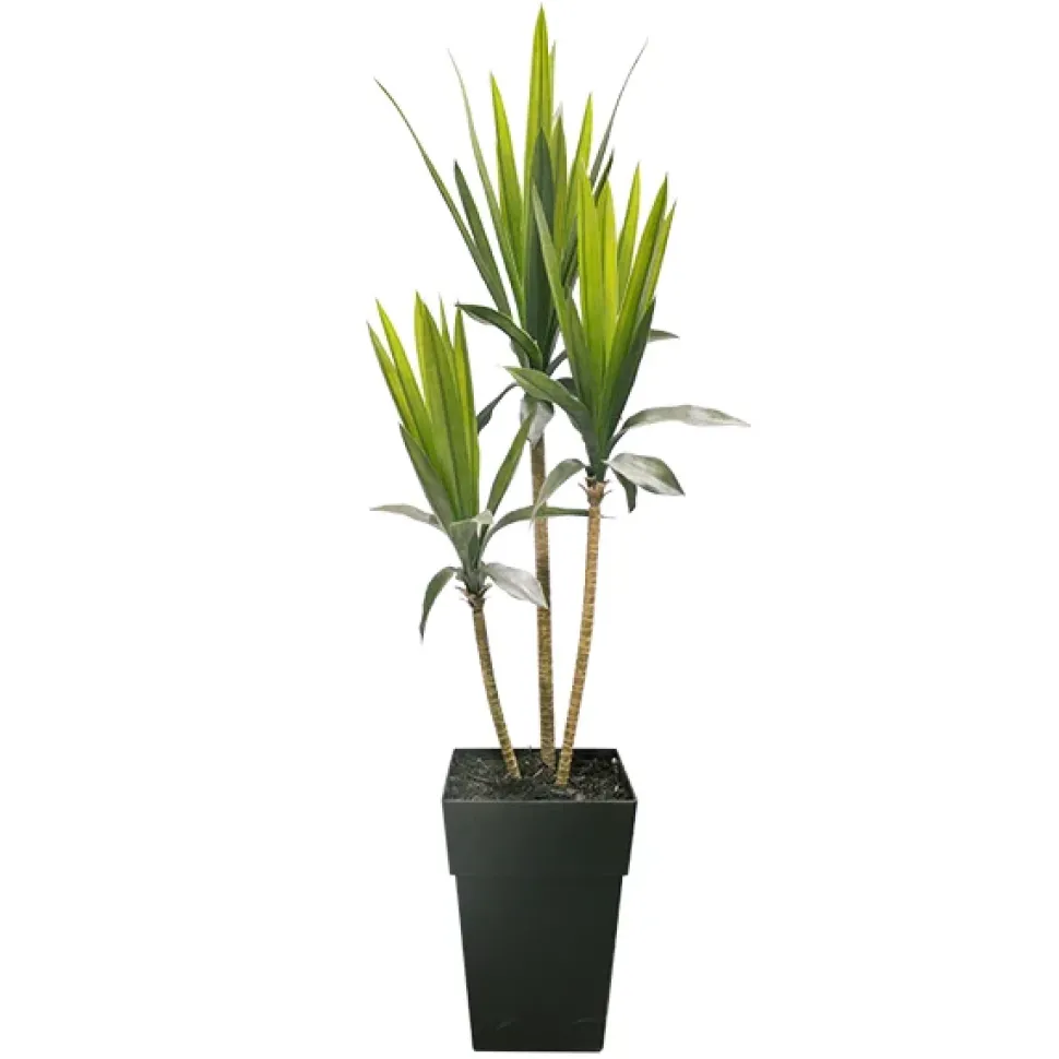 Yucca à trois troncs artificiel extérieur en pot, 68 x 27″