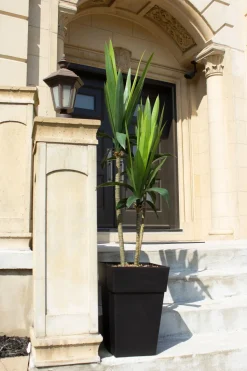 Yucca à trois troncs artificiel extérieur en pot, 68 x 27″