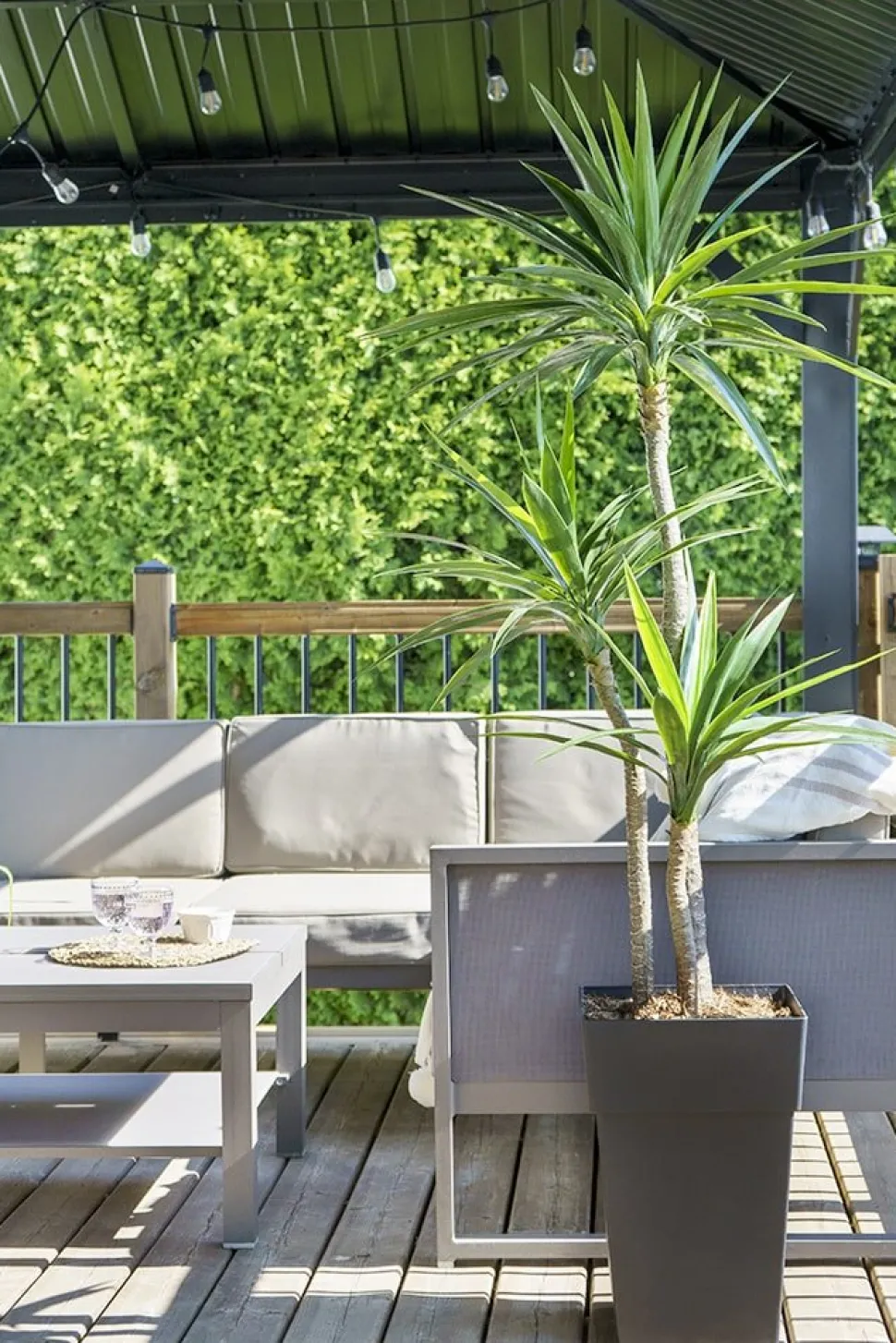 Yucca artificiel extérieur en pot, 65″