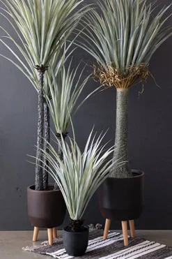 Yucca artificiel, 55″