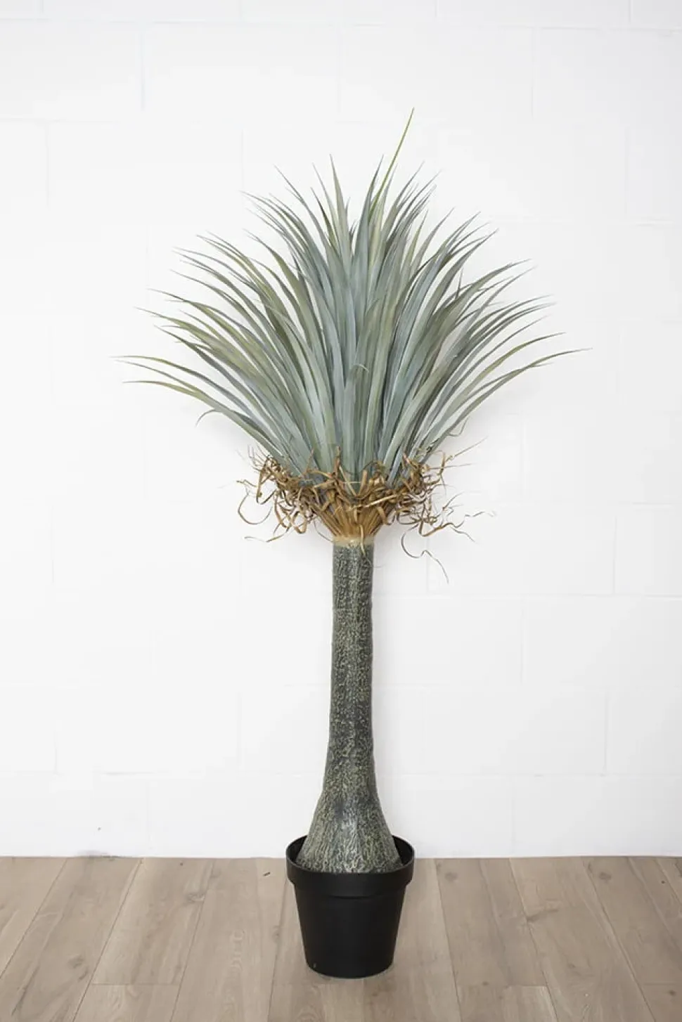 Yucca artificiel, 55″